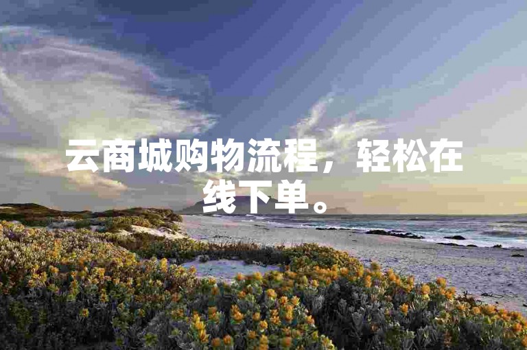 云商城购物流程，轻松在线下单。