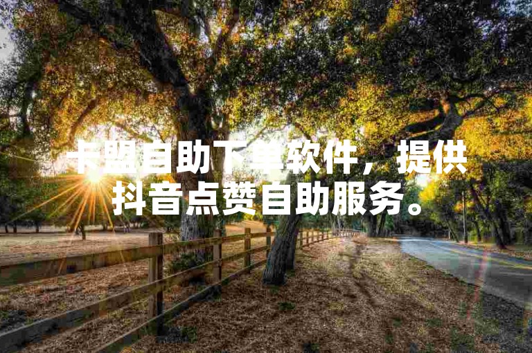 卡盟自助下单软件，提供抖音点赞自助服务。