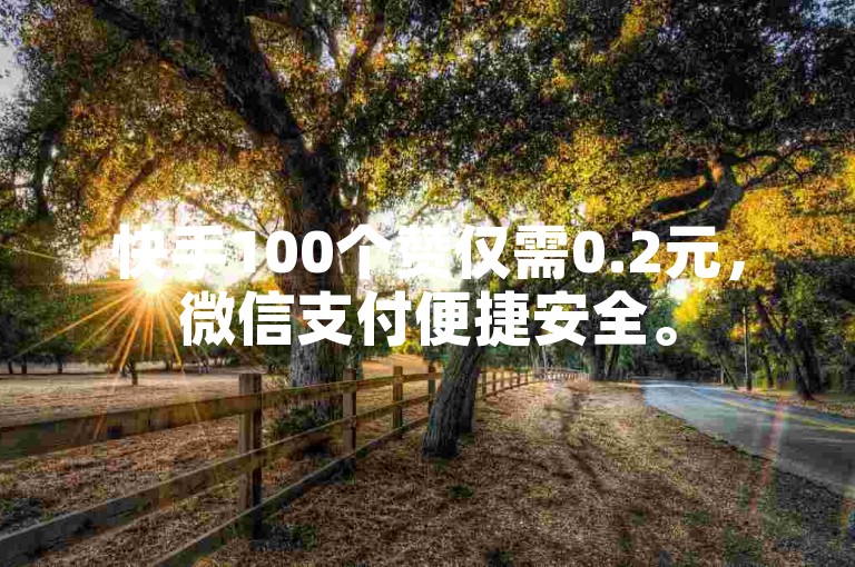 快手100个赞仅需0.2元，微信支付便捷安全。