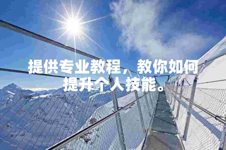 提供专业教程，教你如何提升个人技能。