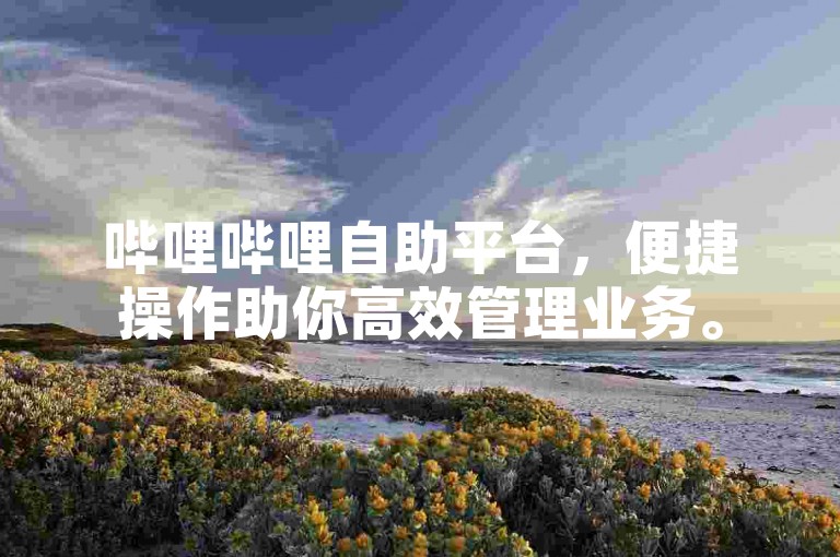 哔哩哔哩自助平台，便捷操作助你高效管理业务。