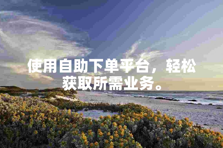 使用自助下单平台，轻松获取所需业务。