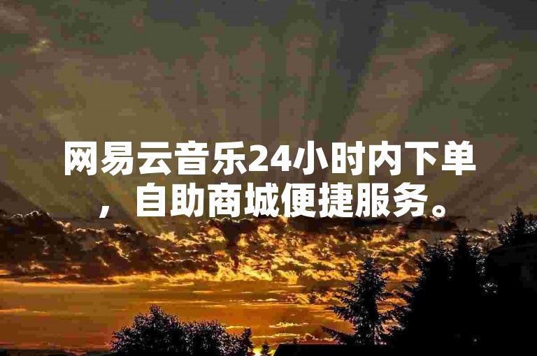 网易云音乐24小时内下单，自助商城便捷服务。