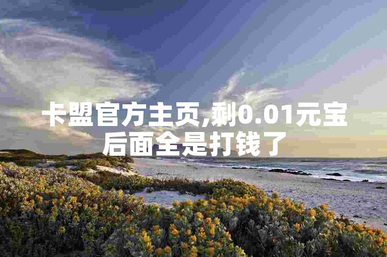 卡盟官方主页,剩0.01元宝后面全是打钱了