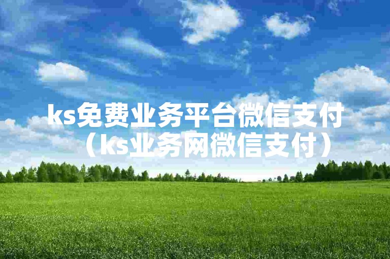 ks免费业务平台微信支付（ks业务网微信支付）